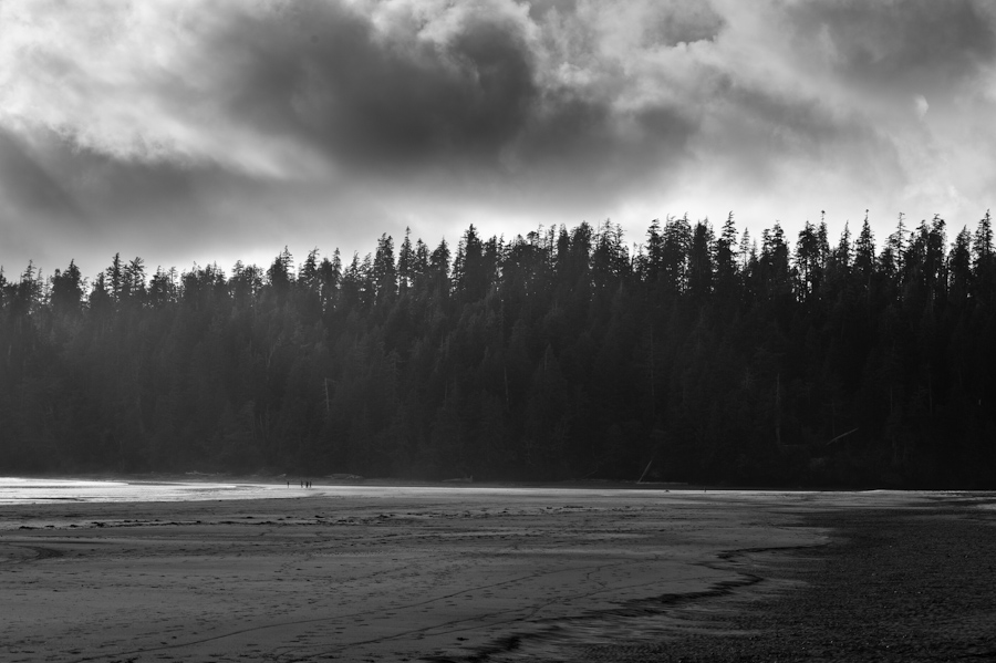 Bamfield Beach 3942