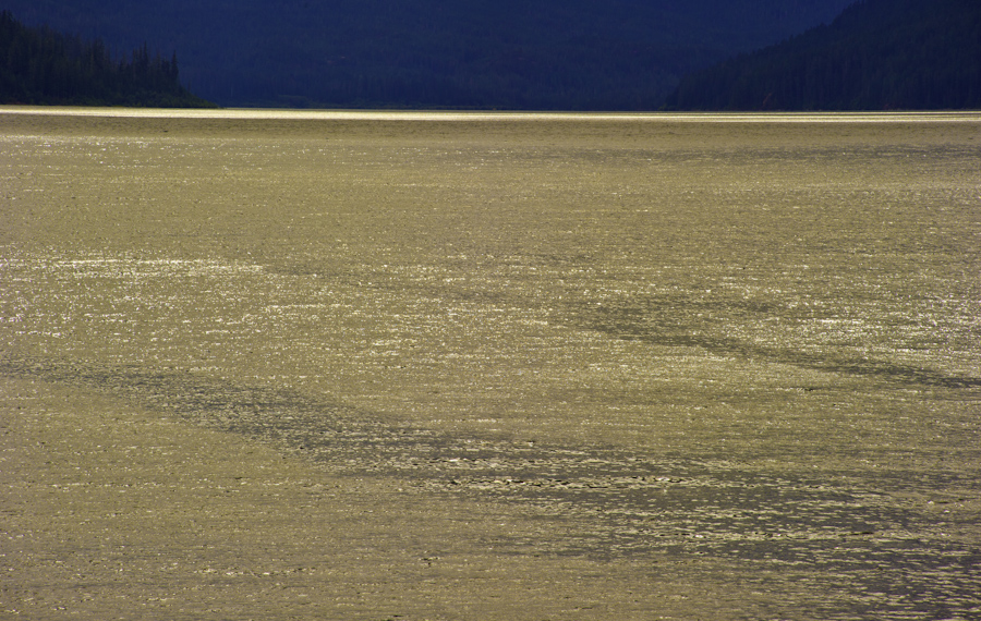 Strathcona Lake Surface 4029