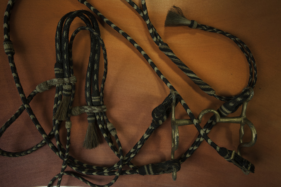 Bridle