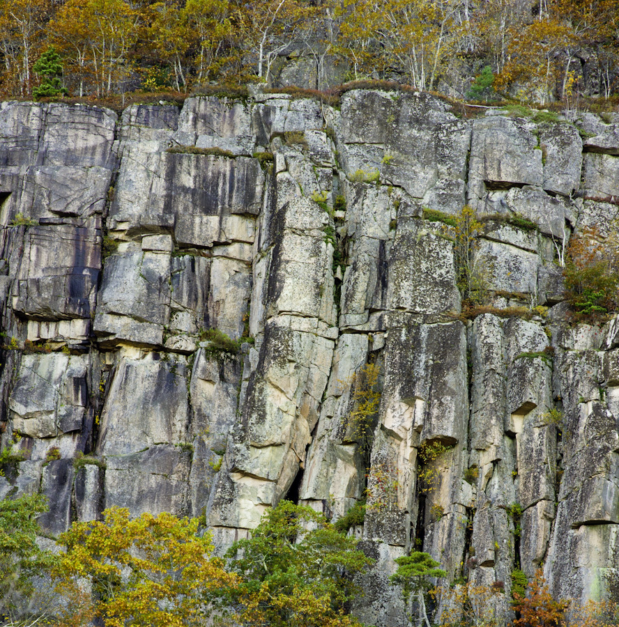 Acadia Wall 9115