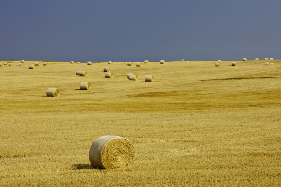 Super Bales 8262