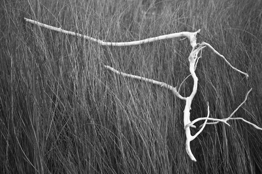 Found Branch 9408
