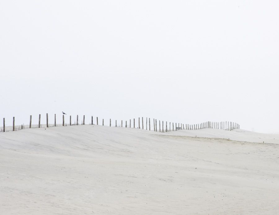 Dune Fence 4441