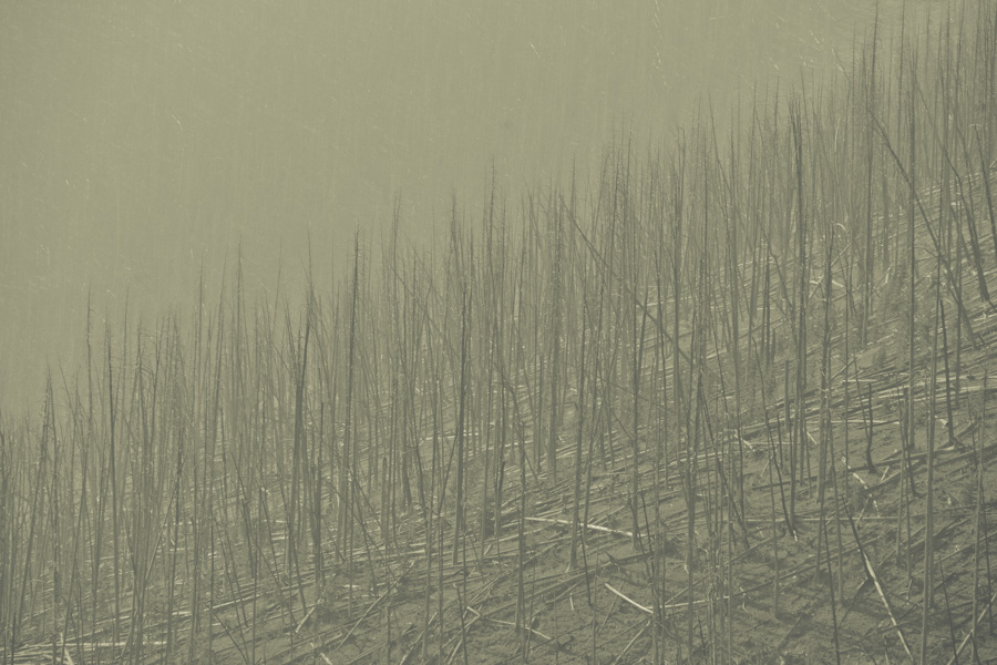 After the Fire 0352