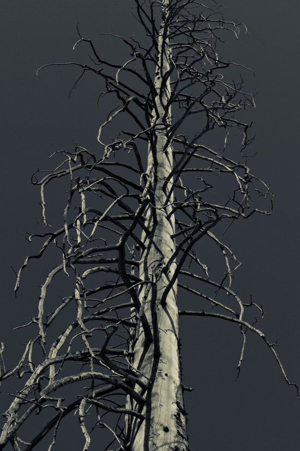 After the Fire 0394
