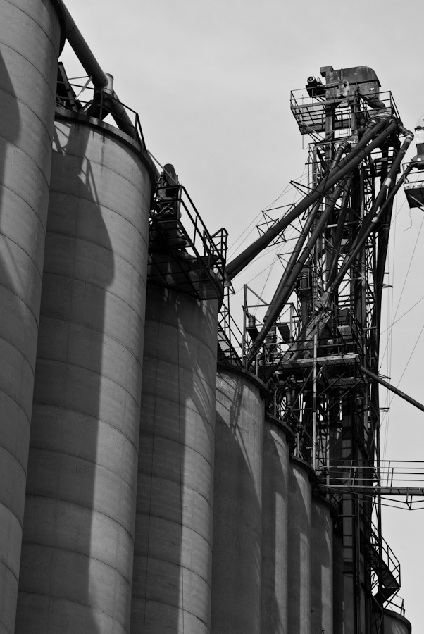 Storing Corn 0779