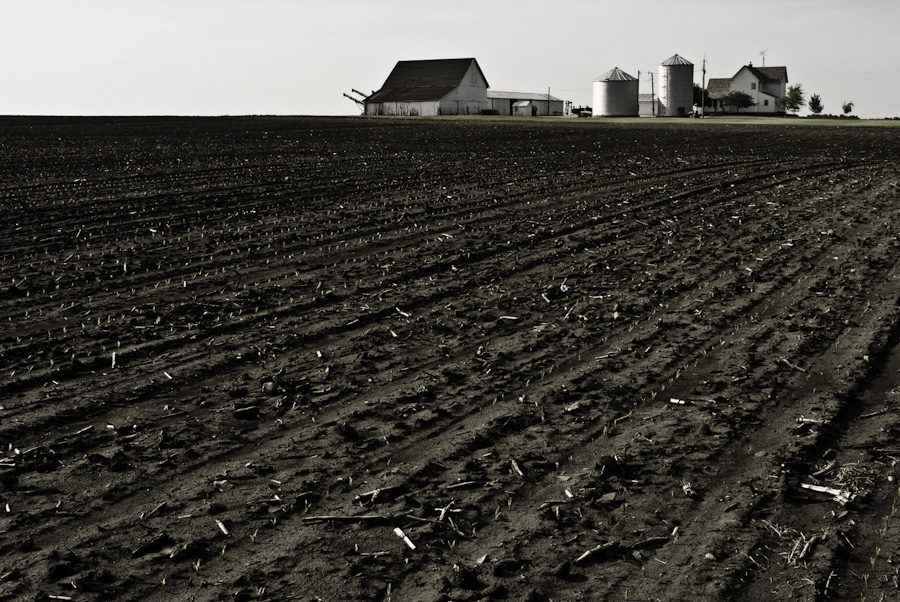 Lonely Farmhouse 0788