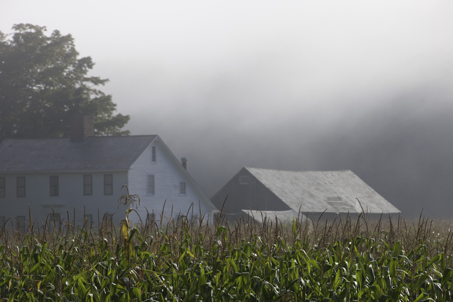 Local Farm 5734