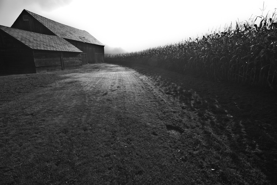 Local Farm 5758