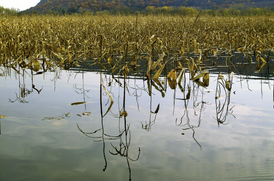 Oxbow Fall Flood 0840