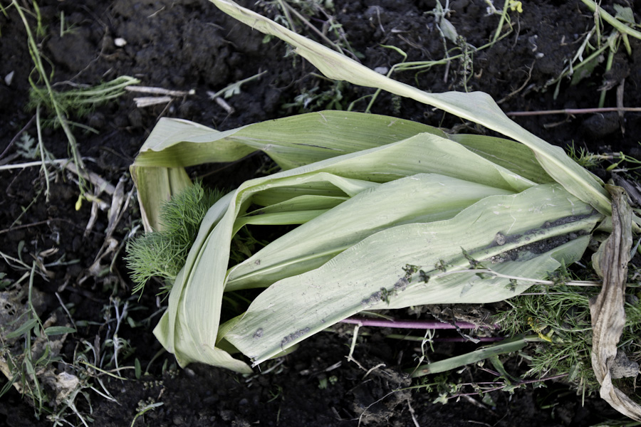 Husk 5971