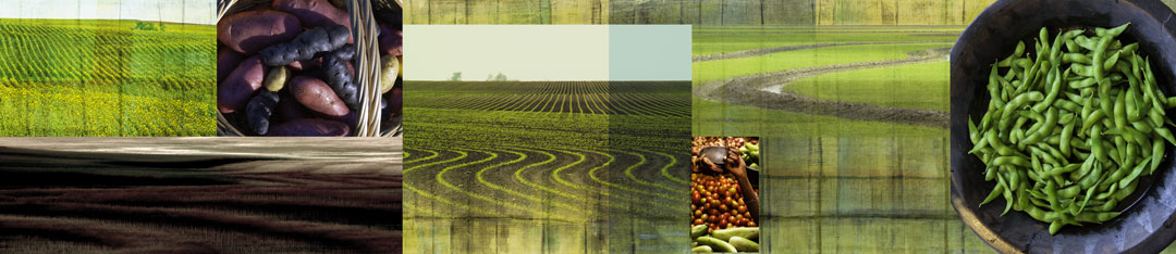 Harvest Restaurant 7